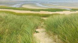 Aluguel de temporada em Cape Cod