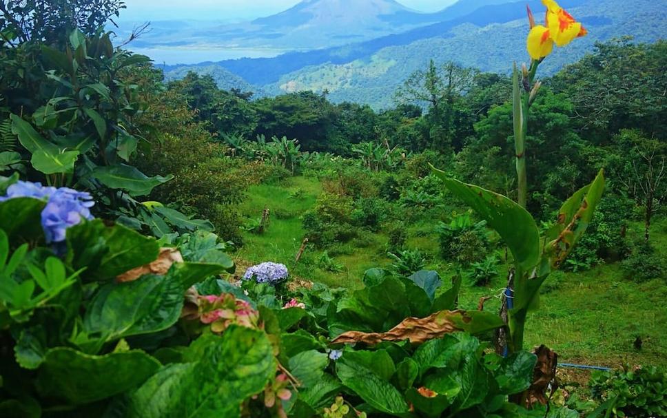 Vista externa Foto